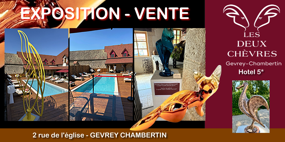 Exposition vente Hotel les deux chèvres - Gevrey Chambertin - COUQUEBERG